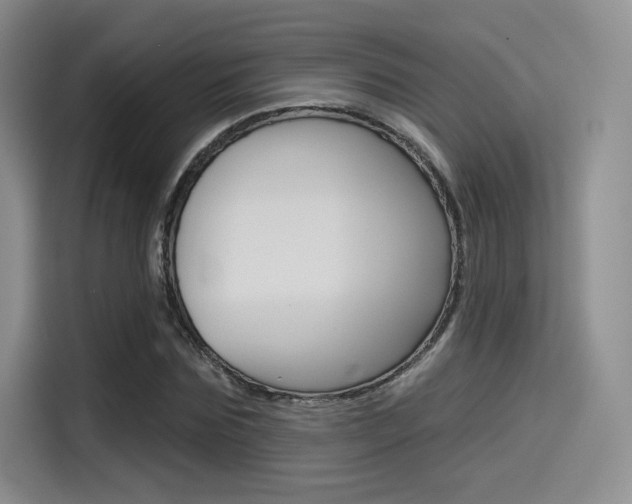 X0000114490875200910191114