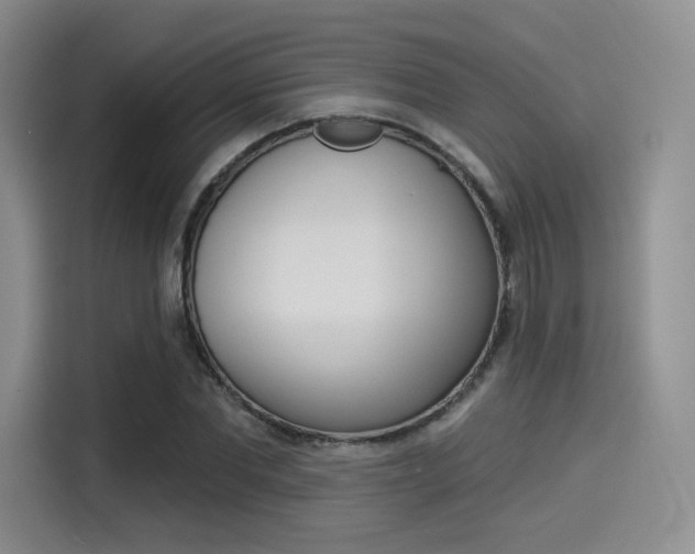 X0000114490877200910191114
