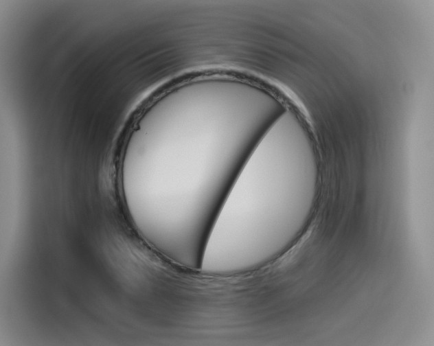 X0000114490879200910191114