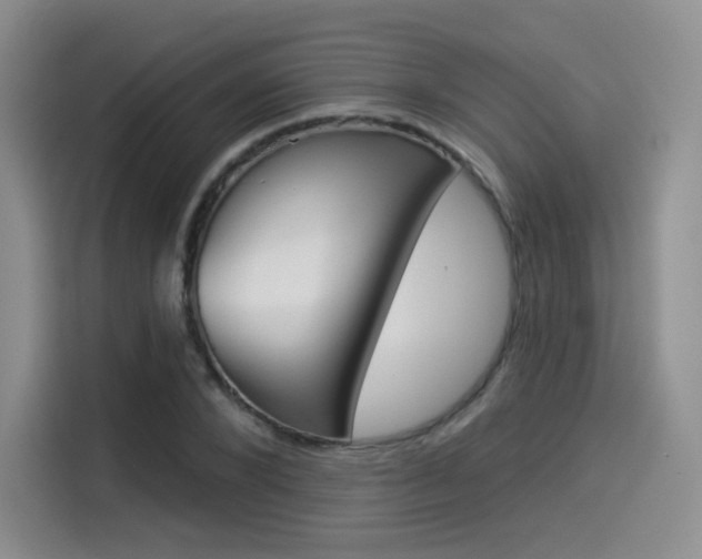 X0000114490880200910191114