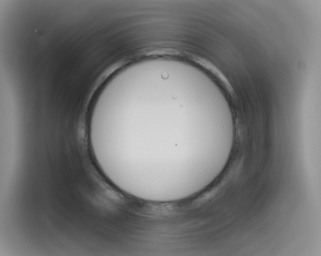 X0000114490882200910191114