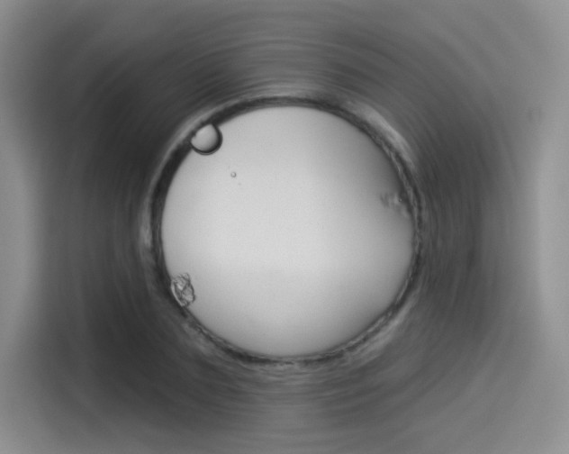 X0000114490883200910191114