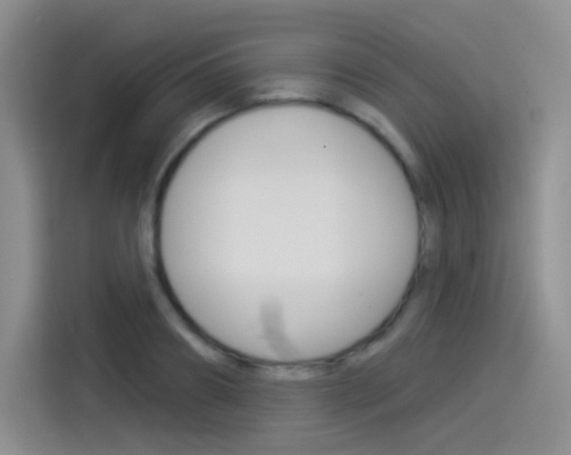 X0000114490890200910191114
