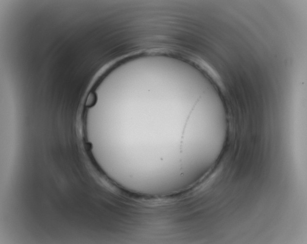 X0000114490891200910191114