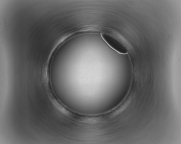 X0000114490892200910191114