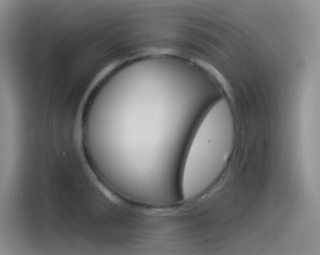 X0000114490894200910191114