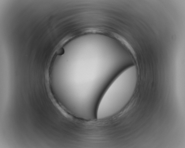 X0000114490898200910191114