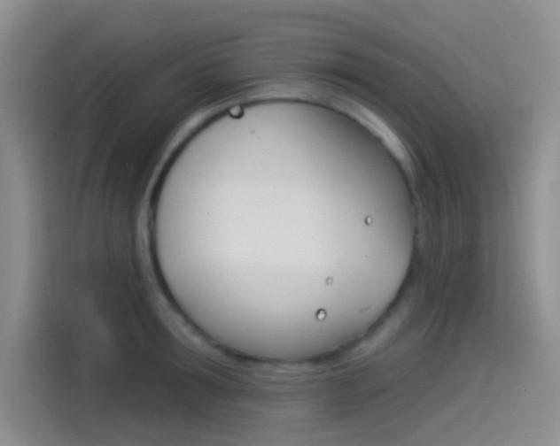 X0000114490899200910191114