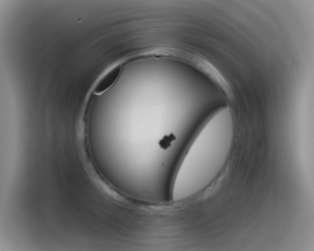 X0000114490900200910191114