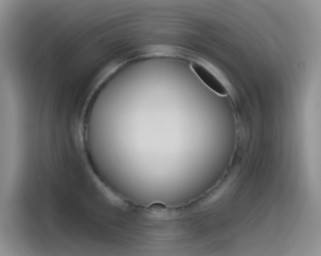 X0000114490901200910191114