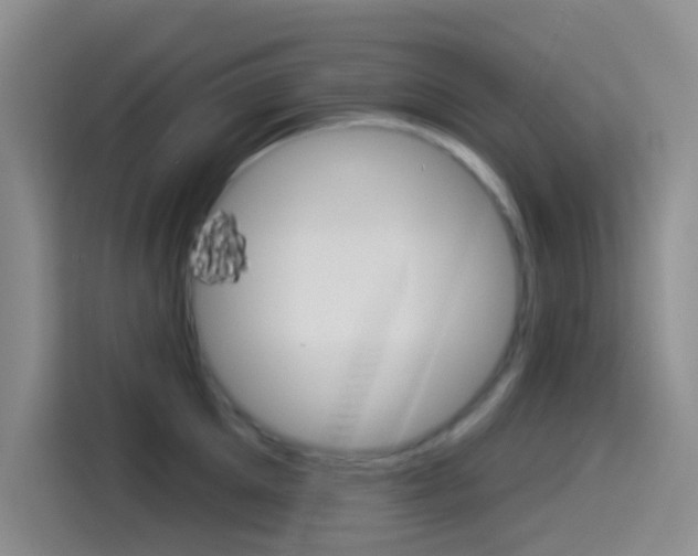 X0000114490905200910191114