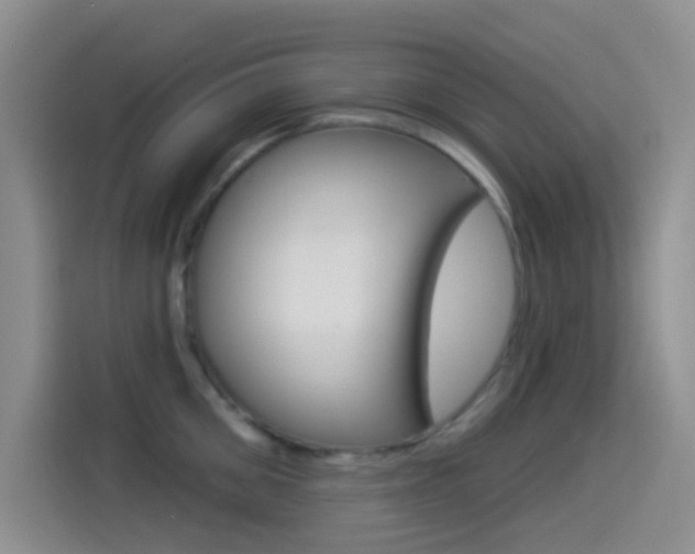 X0000114490906200910191114