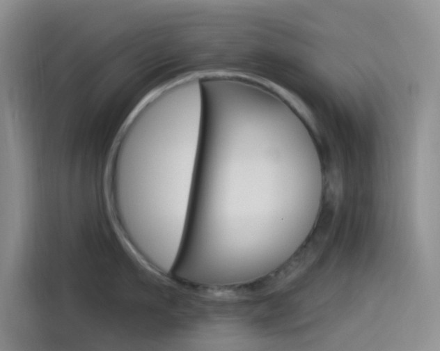 X0000114490911200910191114