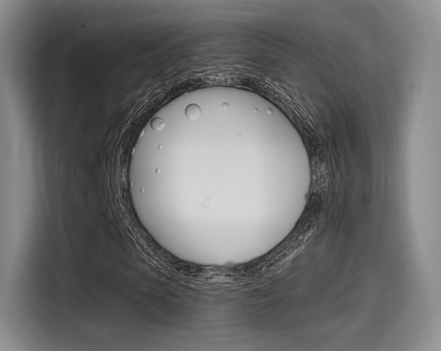 X0000114490913200910191113