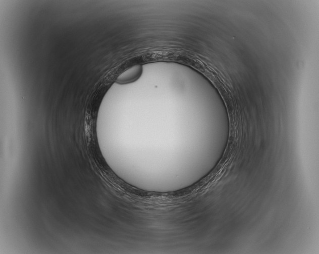 X0000114490914200910191113
