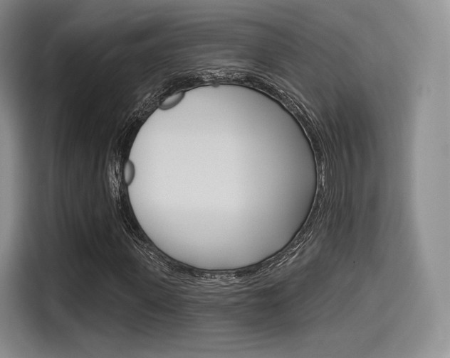 X0000114490915200910191113