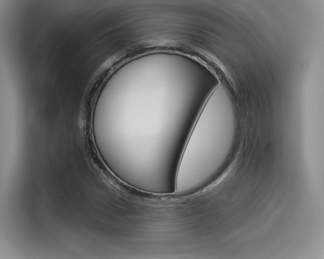 X0000114490922200910191113