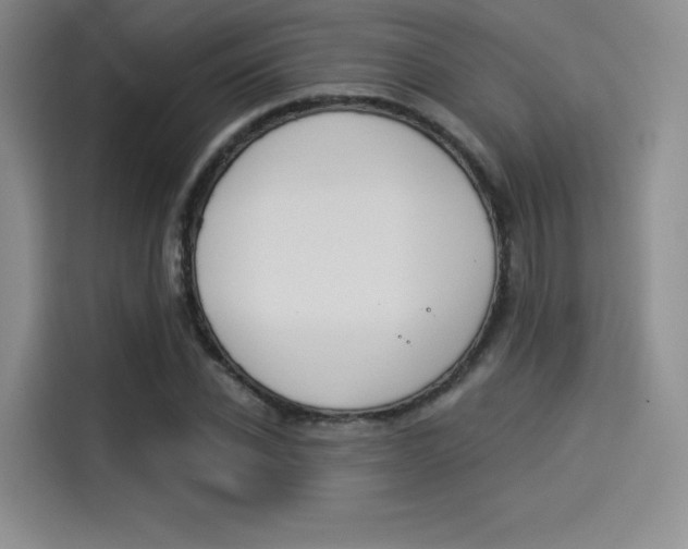 X0000114490926200910191113
