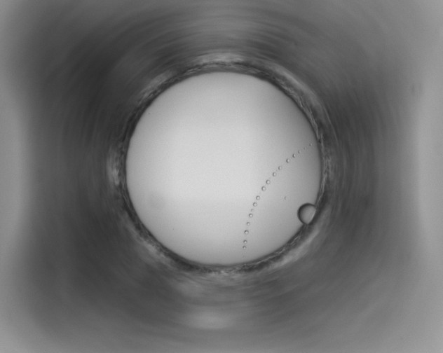 X0000114490929200910191113