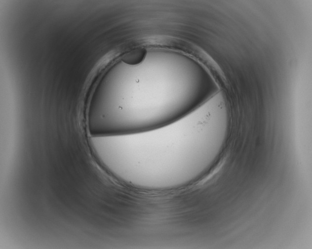 X0000114490930200910191113