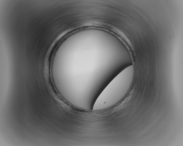 X0000114490931200910191113