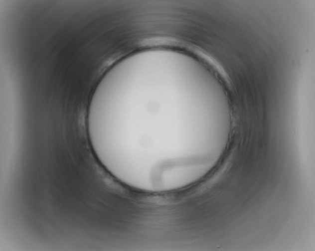 X0000114490937200910191114