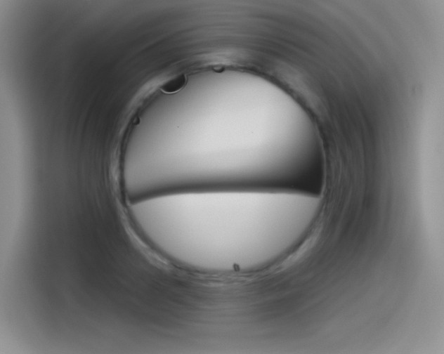 X0000114490938200910191114