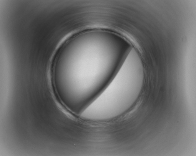 X0000114490942200910191114