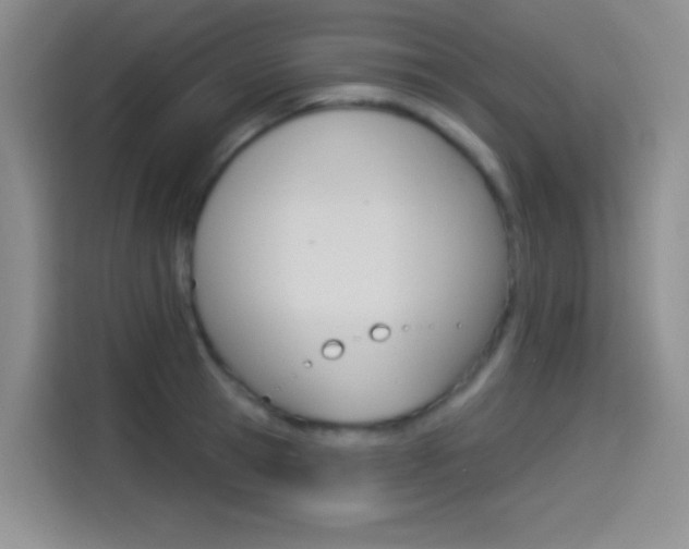 X0000114490945200910191114