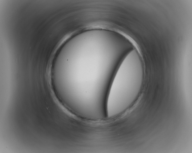 X0000114490949200910191114