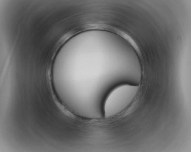 X0000114490954200910191114