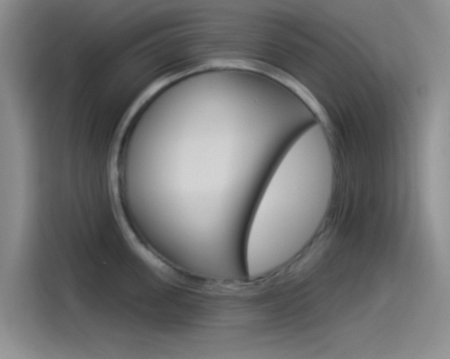 X0000114490955200910191114