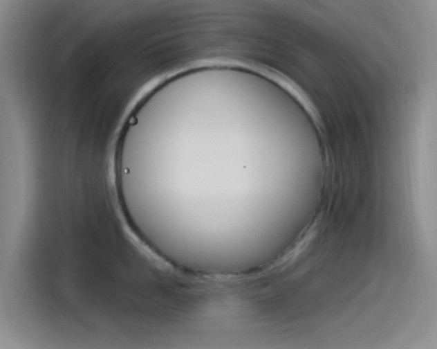 X0000114490958200910191114