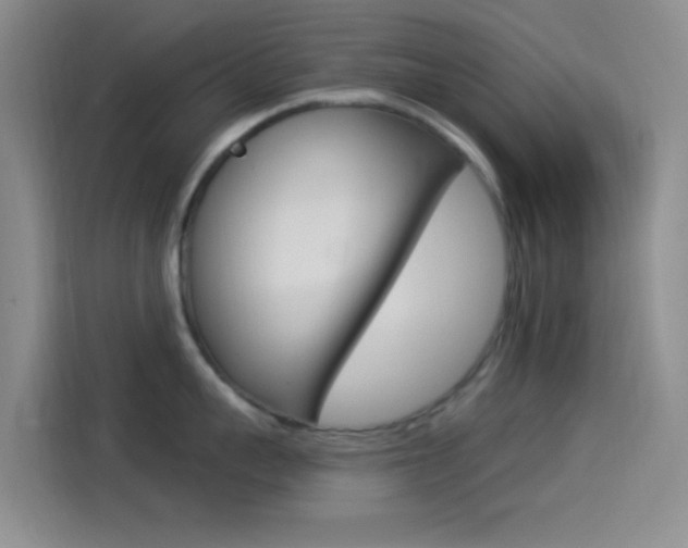 X0000114490959200910191114