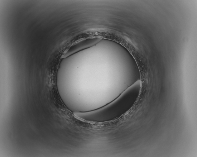 X0000114490965200910191113