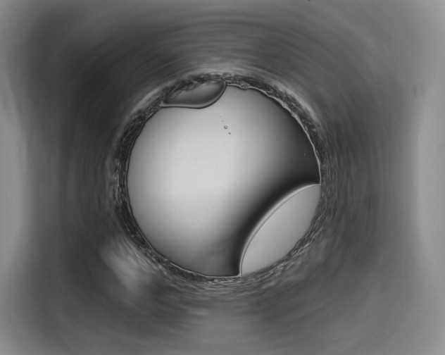 X0000114490968200910191113