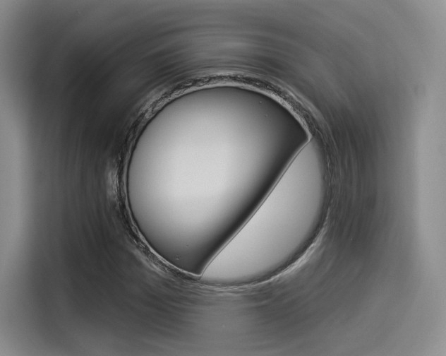 X0000114490969200910191113