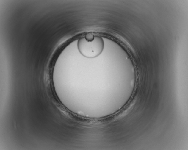 X0000114490974200910191113
