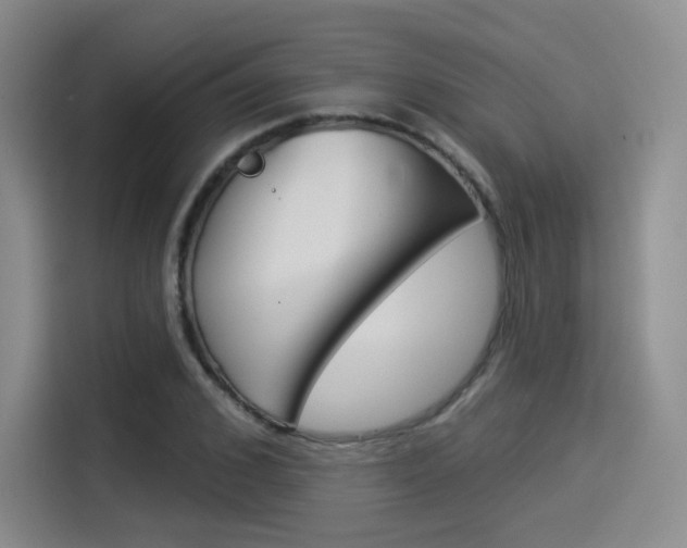 X0000114490976200910191113