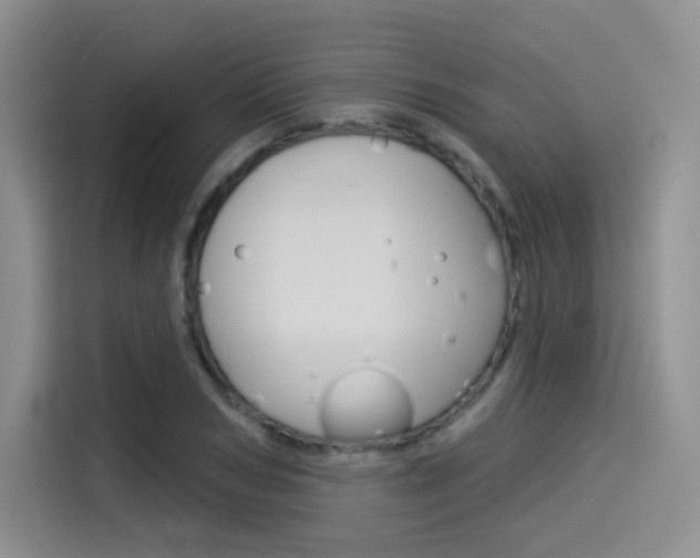 X0000114490978200910191113