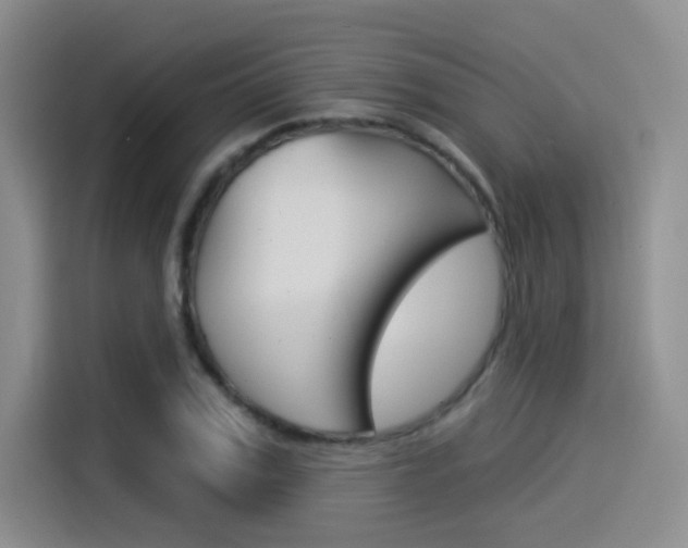 X0000114490979200910191113