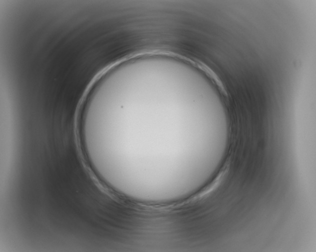 X0000114490981200910191113