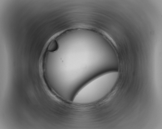 X0000114490987200910191113