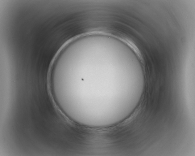 X0000114490992200910191113