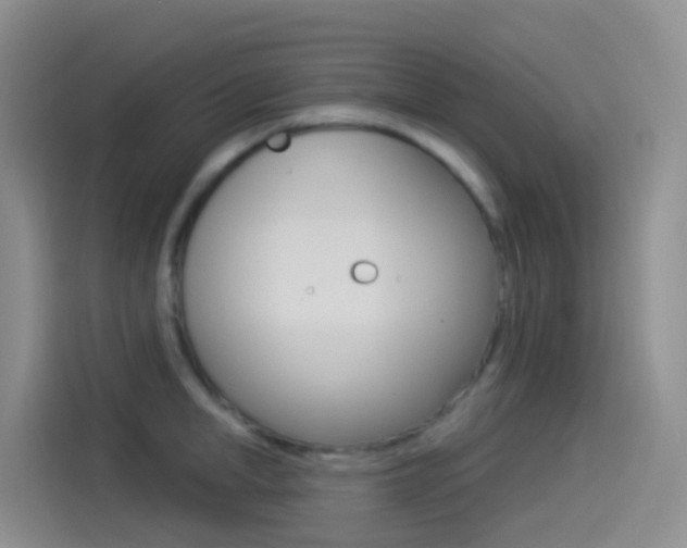 X0000114490998200910191113