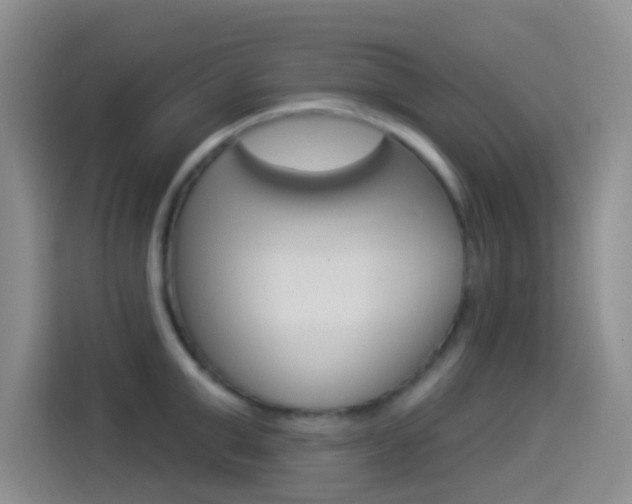 X0000114490999200910191113