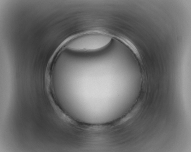 X0000114491000200910191113