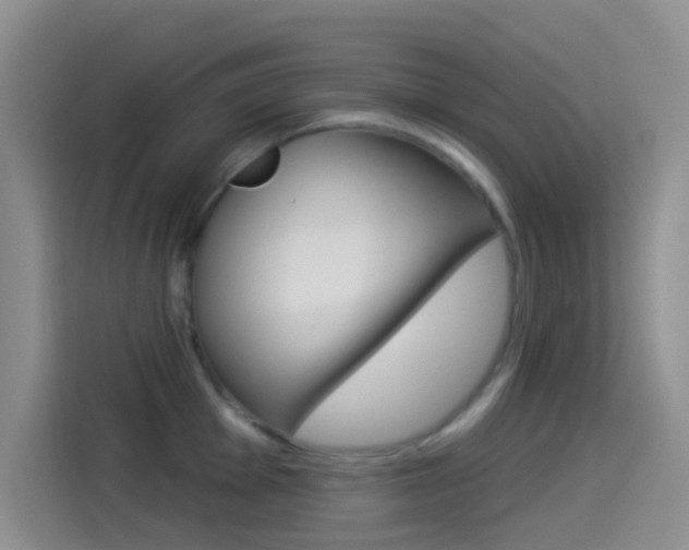 X0000114491001200910191113