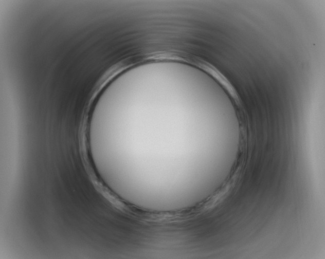 X0000114491002200910191113
