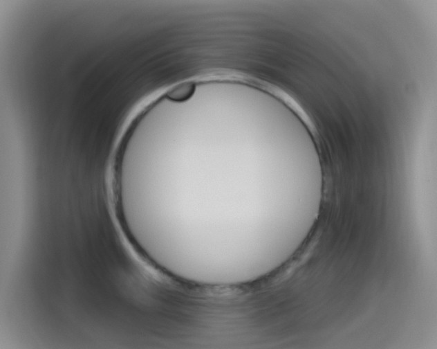 X0000114491003200910191113